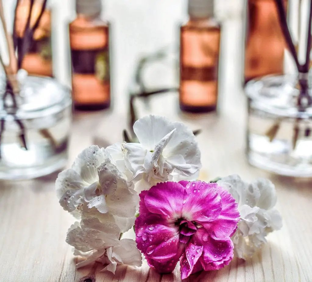 Aromatherapy-Plants