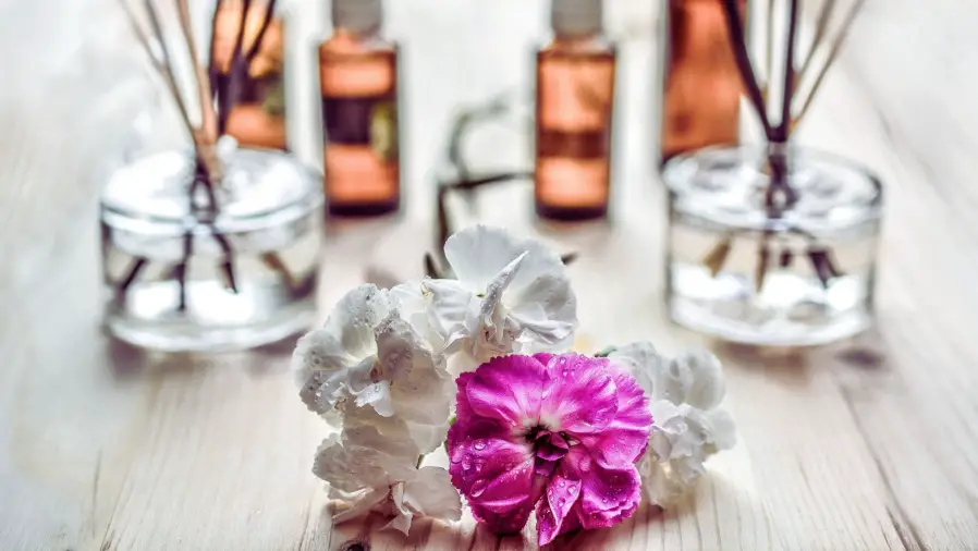 Aromatherapy-Plants
