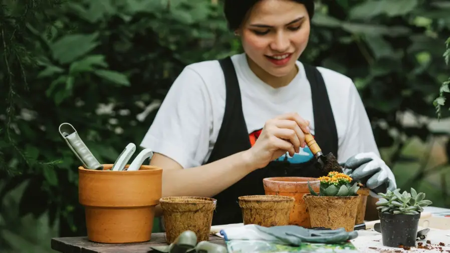 How Often Should You Fertilize Bonsai