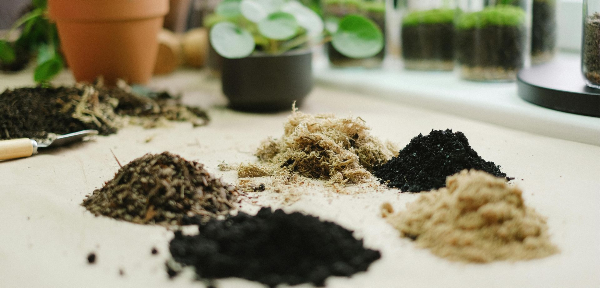 What is the difference between gardening soil and potting soil